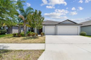10822 Crushed Grape Dr, RIVERVIEW