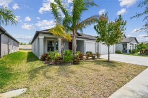 10822 CRUSHED GRAPE DRIVE, RIVERVIEW, FL 33578 - MLS#MFRTB8386308