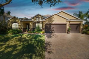 1116 Hillandale Reserve Dr, TAMPA