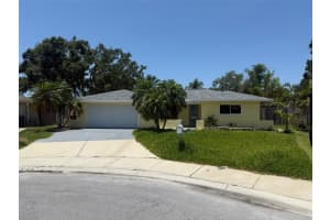 1812 Hibiscus Ct S, OLDSMAR