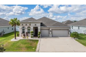 12420 Brick Cobblestone Dr, RIVERVIEW