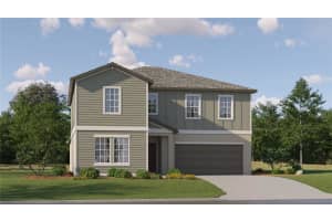 1806 Tropical Oasis Ave, PLANT CITY