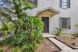 3810 CLEVELAND STREET, TAMPA, FL 33609 - MLS#MFRTB8386406