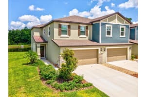 17729 NECTAR FLUME DRIVE, LAND O LAKES, FL 34638 Sold 07/22/25