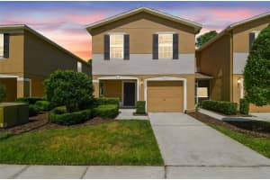4528 WINDING RIVER WAY, LAND O LAKES, FL 34639 Sold 06/30/25