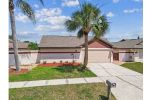 7004 WESTMINSTER STREET, TAMPA, FL 33635 - MLS#MFRTB8386494