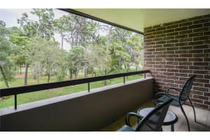 36750 US 19 N #24-211, PALM HARBOR, FL 34684 - MLS#MFRTB8386515