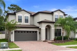 11006 Tahiti Isle Ln, TAMPA