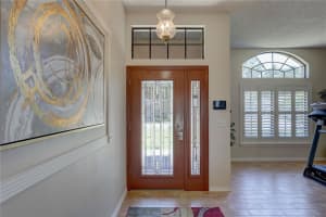 3338 LAURELWOOD COURT, TARPON SPRINGS, FL 34688 - MLS#MFRTB8386545