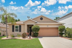 7518 Tangle Brook Blvd, GIBSONTON