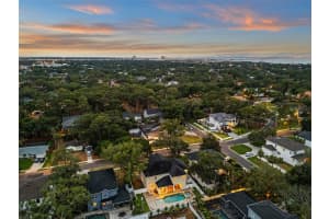 4515 LEONA STREET, TAMPA, FL 33629 - MLS#MFRTB8386606