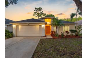 13409 FAWN SPRINGS DRIVE, TAMPA, FL 33626 Sold 06/26/25