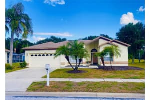 19709 WYNDHAM LAKES DR, ODESSA, FL 33556 Sold 07/28/25
