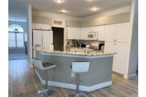 19709 WYNDHAM LAKES DR, ODESSA, FL 33556 Sold 07/28/25