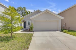 36628 SPANISH ROSE DRIVE, DADE CITY, FL 33525 - MLS#MFRTB8386675