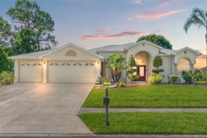 13375 Newcastle Ave, SPRING HILL