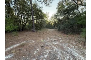 SW 204TH AVE, DUNNELLON, FL 34431 Sold 07/23/25