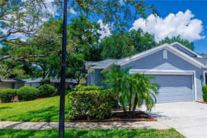 10716 ASHFORD OAKS DRIVE, TAMPA, FL 33625 - MLS#MFRTB8386899