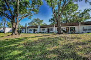 3126 Highlands Blvd, PALM HARBOR