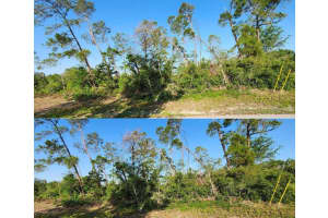 5417 MOONGATE ROAD, SPRING HILL, FL 34606 - MLS#MFRTB8386942