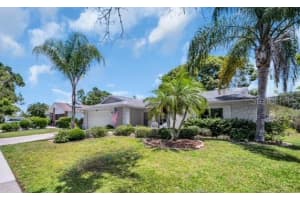 2113 MALCOLM DRIVE, PALM HARBOR, FL 34684 - MLS#MFRTB8386946