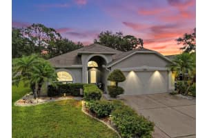 11302 CRANE LAKE COURT, RIVERVIEW, FL 33569 Sold 07/02/25