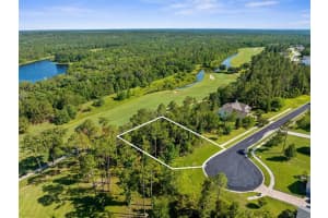 20118 ENGLISH WALNUT PLACE, BROOKSVILLE, FL 34601 Sold 06/02/25