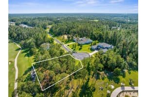 20118 ENGLISH WALNUT PLACE, BROOKSVILLE, FL 34601 Sold 06/02/25
