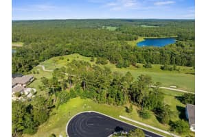 20118 ENGLISH WALNUT PLACE, BROOKSVILLE, FL 34601 Sold 06/02/25