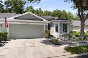 8562 Acorn Ridge Ct, TAMPA