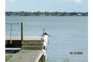 206 SAMANTHA AVENUE, AUBURNDALE, FL 33823 - MLS#MFRTB8386968