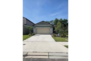 10607 LADYBUG COVE, PARRISH, FL 34219 - MLS#MFRTB8386992