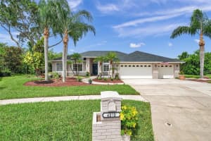 6212 Nimes Ct, LUTZ