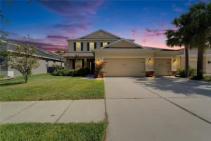 17510 Bright Wheat Dr, LITHIA 17510 Bright Wheat Dr, LITHIA