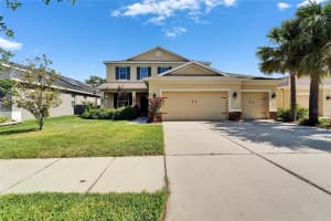 17510 BRIGHT WHEAT DRIVE, LITHIA, FL 33547 - MLS#MFRTB8387052