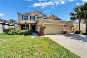 17510 BRIGHT WHEAT DRIVE, LITHIA, FL 33547 - MLS#MFRTB8387052