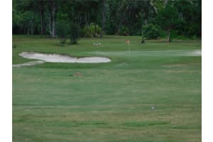 56 GOLFVIEW DRIVE, HOMOSASSA, FL 34446 Sold 06/27/25