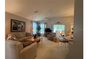 18030 WEBSTER GROVE DRIVE, HUDSON, FL 34667 - MLS#MFRTB8387100