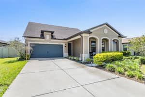 8296 Olive Brook Dr, WESLEY CHAPEL