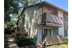 647 Fairmont Ave #c, SAFETY HARBOR