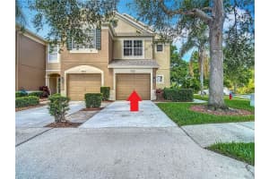 8576 Sandy Beach St, TAMPA