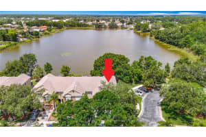 8576 SANDY BEACH ST, TAMPA, FL 33634 - MLS#MFRTB8387196
