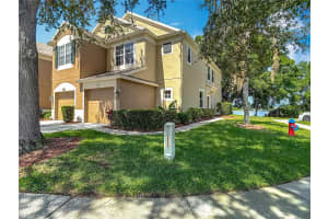 8576 SANDY BEACH ST, TAMPA, FL 33634 - MLS#MFRTB8387196