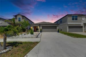 872 OLIVE CONCH STREET, RUSKIN, FL 33570 - MLS#MFRTB8387237