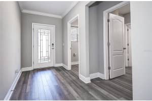10517 CRESTVIEW HEIGHTS AVENUE, THONOTOSASSA, FL 33592 - MLS#MFRTB8387238