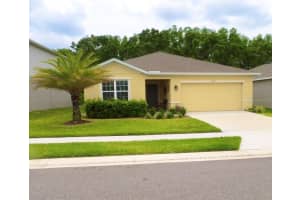 18292 Hunters Meadow Walk, LAND O LAKES