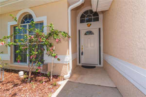 1126 HALEY LANE, DUNEDIN, FL 34698 - MLS#MFRTB8387288