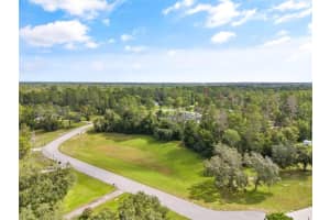 13615 GOPHER POND CT, HUDSON, FL 34669 - MLS#MFRTB8387378