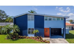 111 Chesapeake Ave, TAMPA
