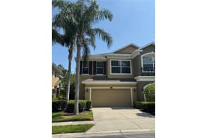 12631 Silverdale St, TAMPA